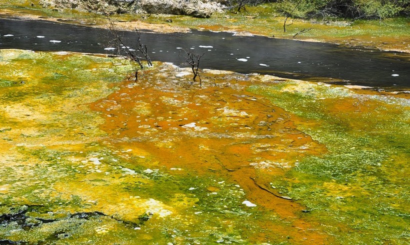 Rivière de souffre et d'arsenic à Rotorua