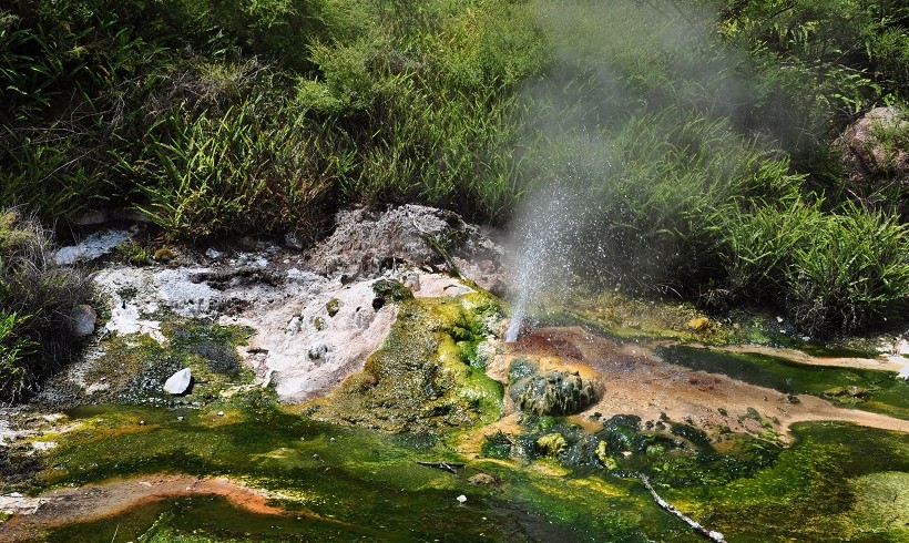 Petit geyser dans la Waimangu Volcanic Valley