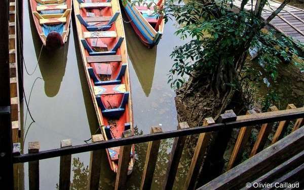 Idée de voyage : la Guyane ce paradis vert